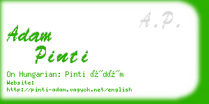 adam pinti business card